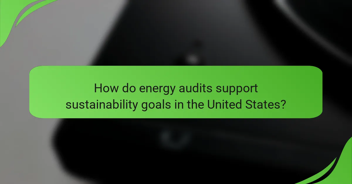 How do energy audits support sustainability goals in the United States?