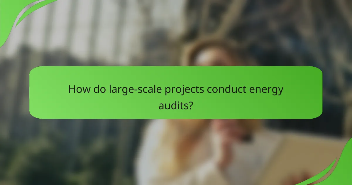 How do large-scale projects conduct energy audits?