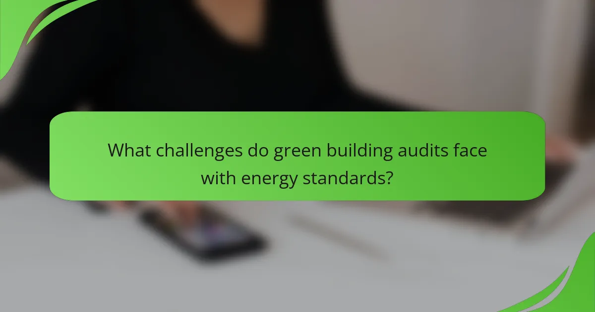 What challenges do green building audits face with energy standards?
