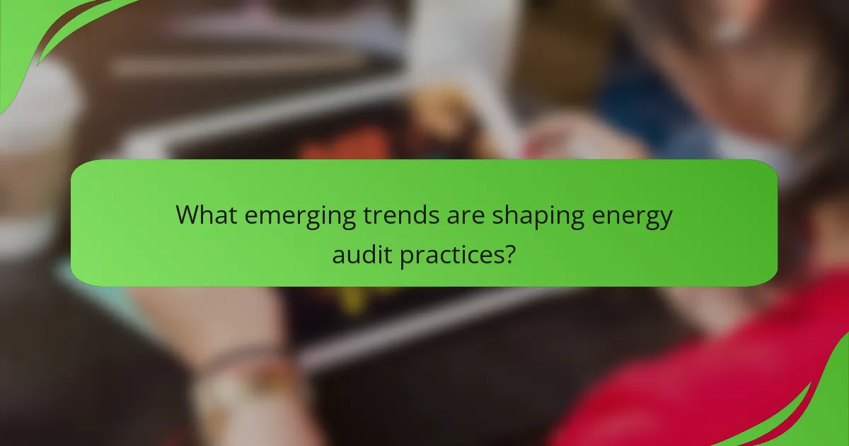 What emerging trends are shaping energy audit practices?